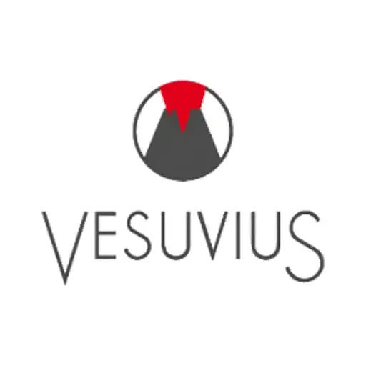 Vesuvius India Ltd